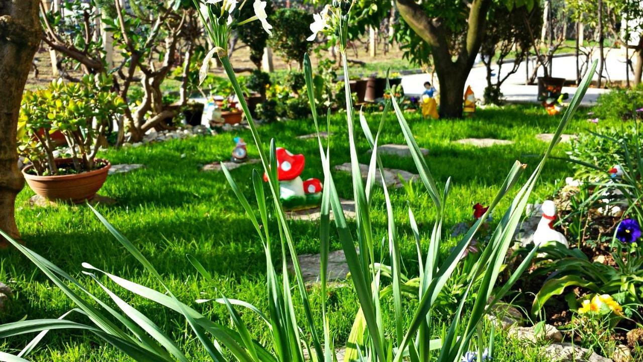 Apartmani Anda Traù Esterno foto